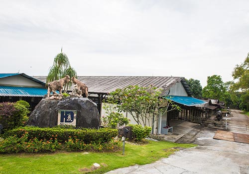 Farm Surrounding