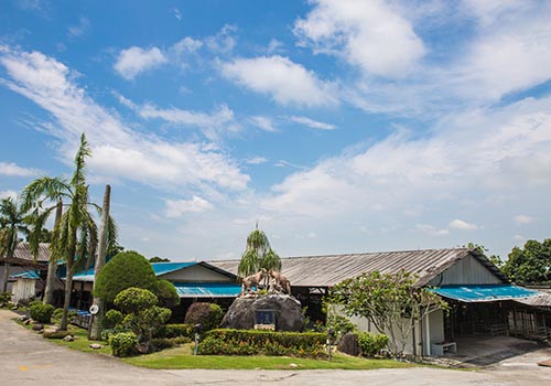 Farm Surrounding